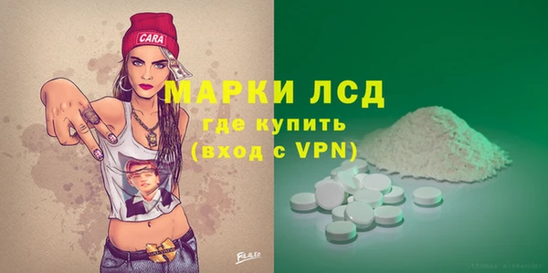 прущие грибы Зеленокумск