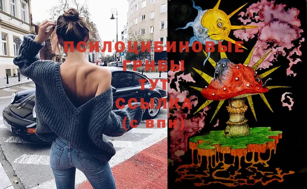 гашик Зеленодольск